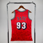 Regata Miami Heat Mitchell & Ness BAPE Edition 1993